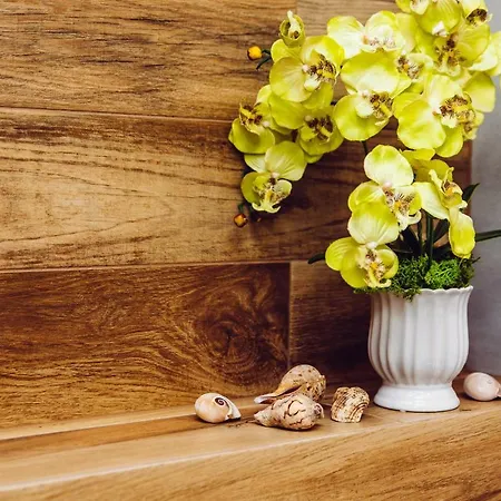 Blizej Morza Apartment *