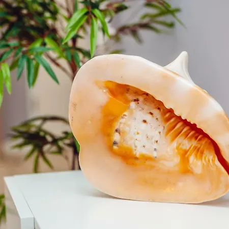 Apartment Blizej Morza *