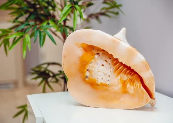 Apartamento Blizej Morza *